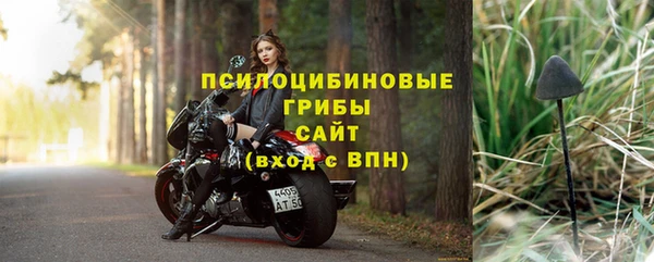 прущие грибы Покачи