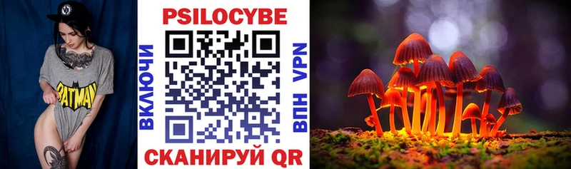 Псилоцибиновые грибы мицелий  Приволжск 