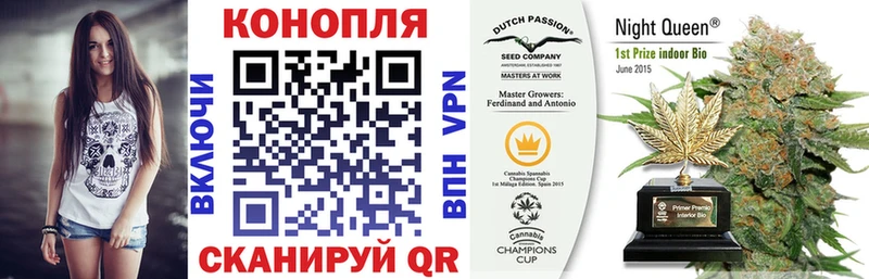 Конопля OG Kush  как найти закладки  Приволжск 